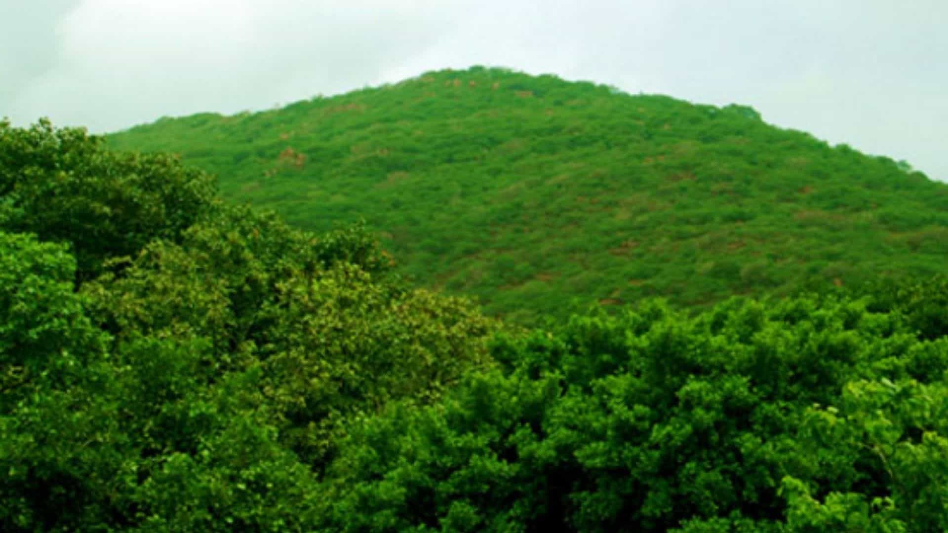 পোরবন্দর থেকে ১৫ কিলোমিটার দূরে, বারদা অভয়ারণ্য অবস্থিত। সিংহ দেখার জন্য এই অভয়ারণ্য অনুকূল এক জায়গা।