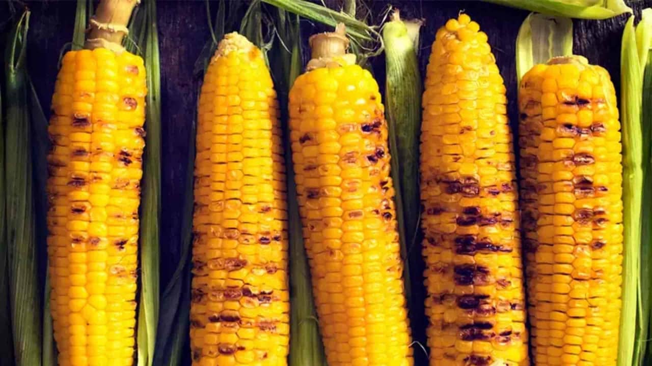 Sweet Corn vs Desi Bhutta: কোন ভুট্টা বেশি স্বাস্থ্যকর? সুইট কর্ণ না কি দেশি ভুট্টা?