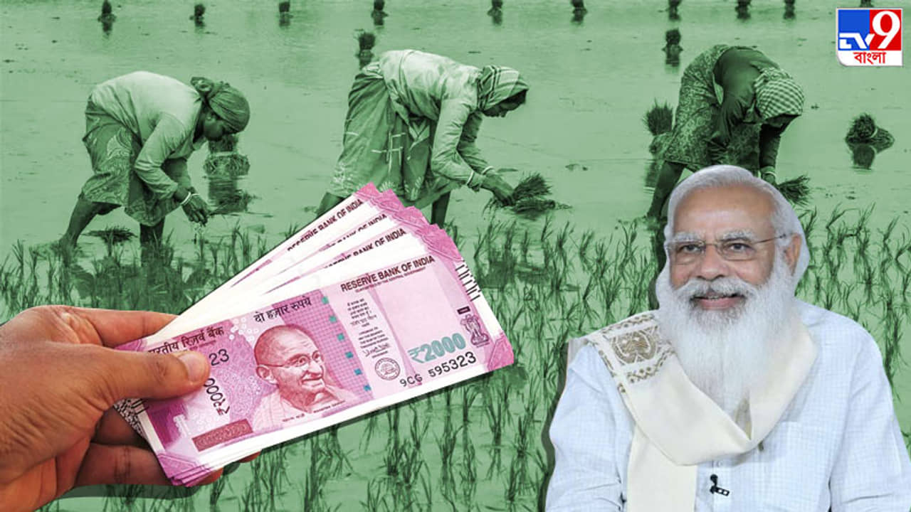 মোদী পাঠালেন, কিন্তু আপনার অ্যাকাউন্টে কিসান নিধির টাকা কি এল? দেখে নিন কী ভাবে জানবেন...