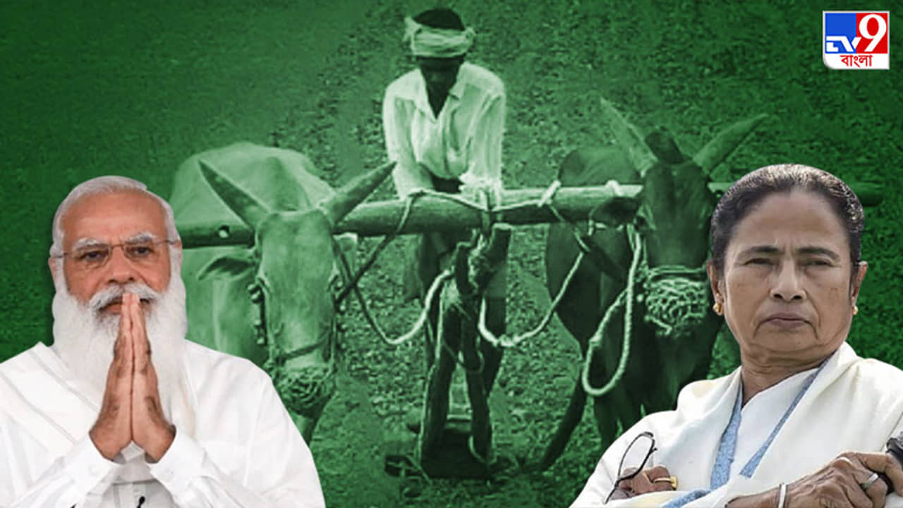 পিএম কিসান নিধি: বাংলার প্রায় ৪২ লক্ষ চাষি বঞ্চিত কার দোষে? শুরু কেন্দ্র-রাজ্য তরজা