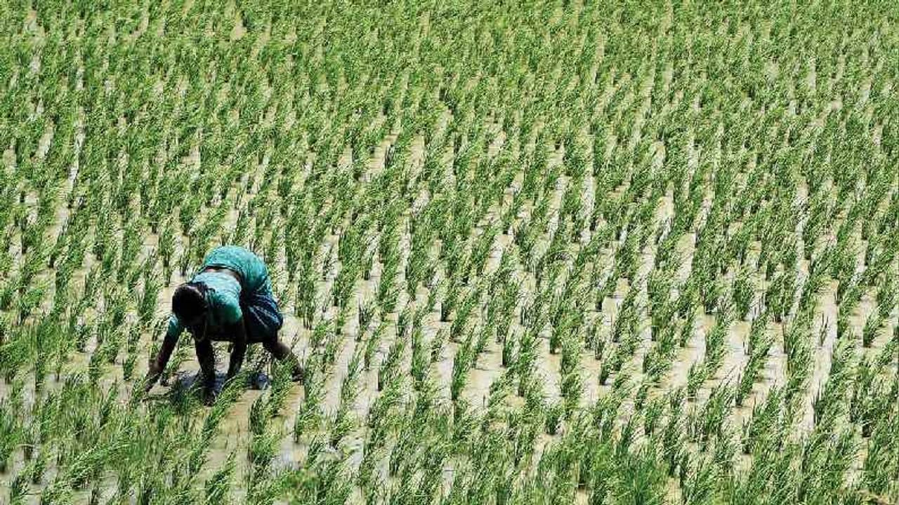 PM Kisan: সুখবর, প্রতিমাসে ৩০০০ টাকা পাবেন কৃষকরা