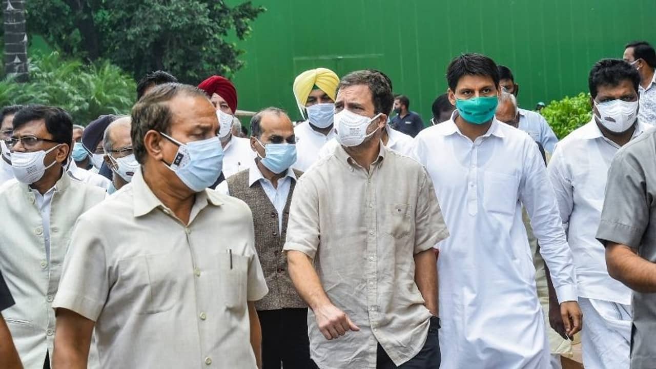 রাহুলের নেতৃত্বে কিসান সংসদে হাজির বিরোধীরা, ছোঁয়াচ এড়িয়ে গেল তৃণমূল!