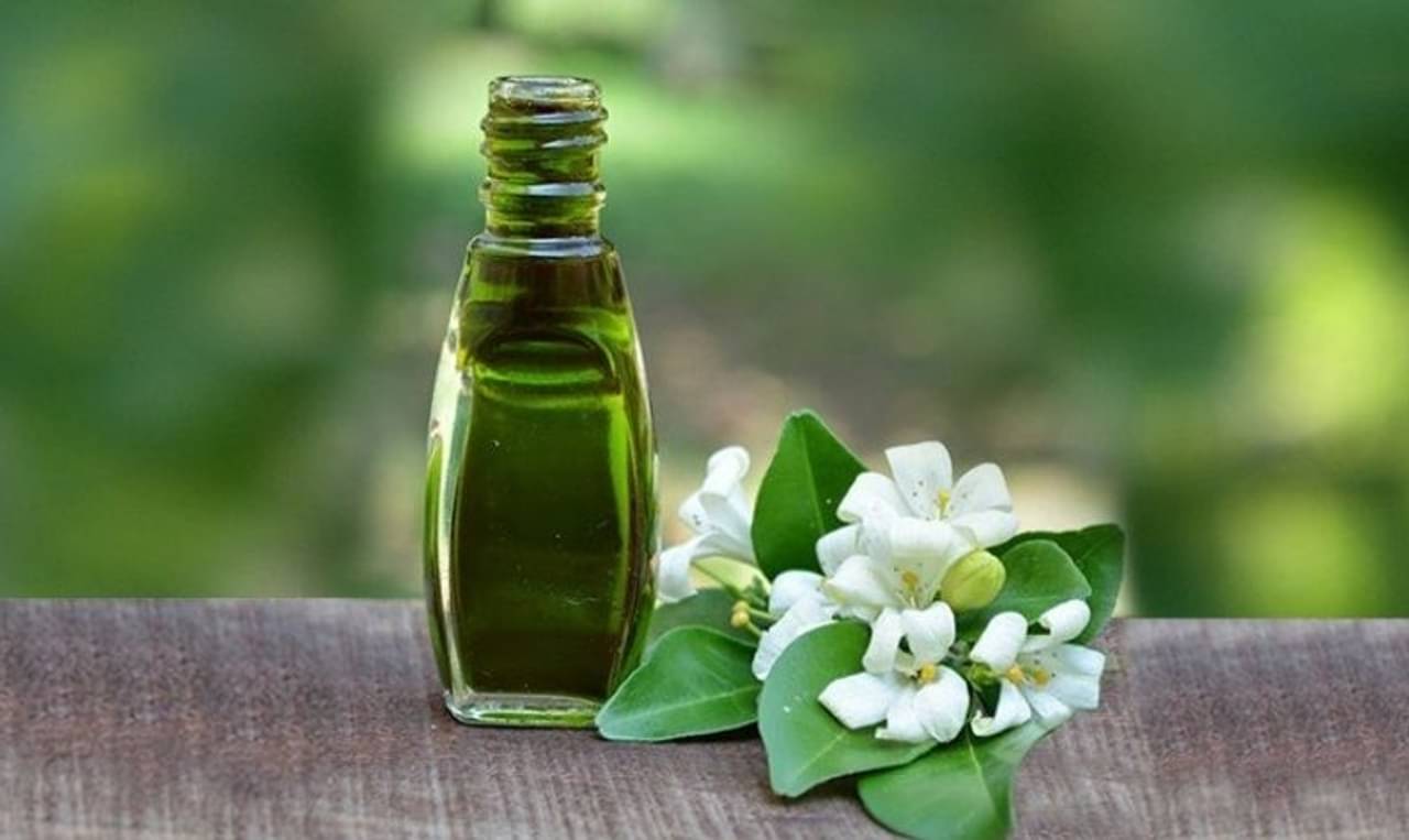 লিভার ও চুলের জন্য ভৃঙ্গরাজ তেলে রয়েছে হাজারো গুণ! কীভাবে তেল তৈরি করবেন, জেনে নিন