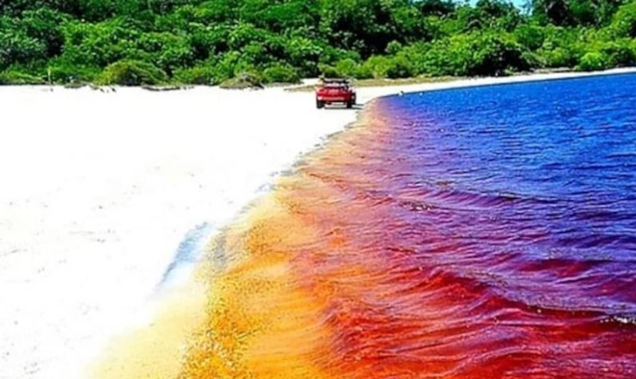 বিচিত্র কিন্তু স্বাস্থ্যকর! এবার সুস্থ থাকতে কোকা-কোলা লেকে ভিড় করছেন পর্যটকরা