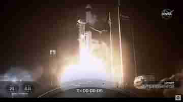 NASA X SpaceX: এবার নাসার তরফ থেকে পিঁপড়েকে মহাকাশে পাঠানো হল