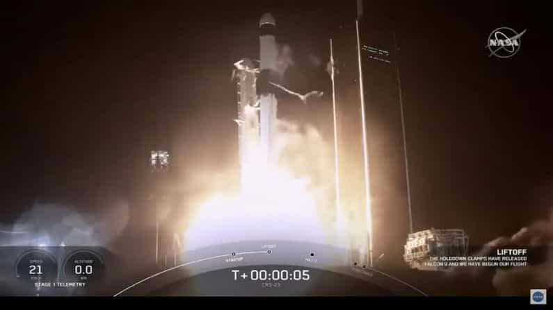 NASA X SpaceX: এবার নাসার তরফ থেকে পিঁপড়েকে মহাকাশে পাঠানো হল