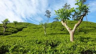 ফাটছে কপাল, চড়া রোদে দীর্ঘ লাইনে দাঁড়িয়ে কেউ হচ্ছেন অসুস্থ, এত দুর্ভোগের পরও লক্ষ্মীর ভাণ্ডারের সুবিধা পাবেন তো? প্রশ্ন মহিলাদের