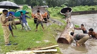 ‘বিয়ে করলেই চাকরি!’ ৬ স্ত্রীয়ের টাকায় আয়েশে কাটছিল দিন, শেষ রক্ষা হল না…