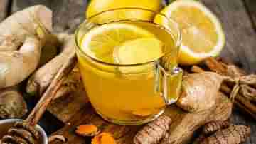 Ginger Tea: বদহজমের সমস্যা কমায়, ঝরায় অতিরিক্ত মেদও, জেনে নিন আদা চায়ের অন্যান্য গুণ