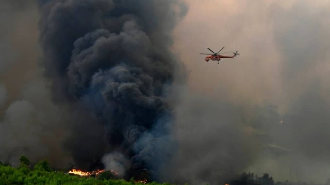 এক রাতেই পুড়ে ছারখার কয়েকশো বাড়ি, দাবানলের গ্রাস থেকে বেঁচেও রাস্তায় দাঁড়িয়ে কান্না গৃহহীনদের