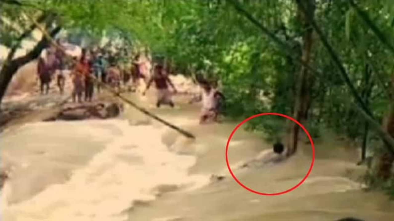 গাছ ধরে বাঁচার আপ্রাণ চেষ্টা, হাত ফস্কে জলের তোড়ে ভেসে গেলেন যুবক