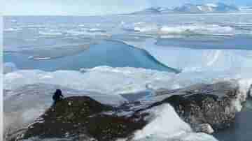 বদলে যাবে অ্যাটলাস! গ্রিনল্যান্ডে নতুন দ্বীপের আবিষ্কার, Worlds Northernmost Island বলছেন বিজ্ঞানীরা