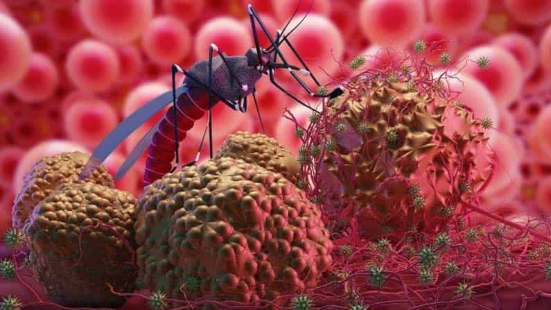 Malaria Vaccine: ঐতিহাসিক! বিশ্বের প্রথম ম্যালেরিয়া ভ্য়াকসিনে ছাড়পত্র বিশ্ব স্বাস্থ্য সংস্থার Malaria Vaccine: ঐতিহাসিক! বিশ্বের প্রথম ম্যালেরিয়া ভ্য়াকসিনে ছাড়পত্র বিশ্ব স্বাস্থ্য সংস্থার