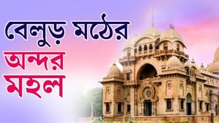 জঙ্গলে হাতির হানা থেকে লাল মাছরাঙা দেখে সংলাপ ভুলে যাওয়া, ছবি পাগলের গল্প