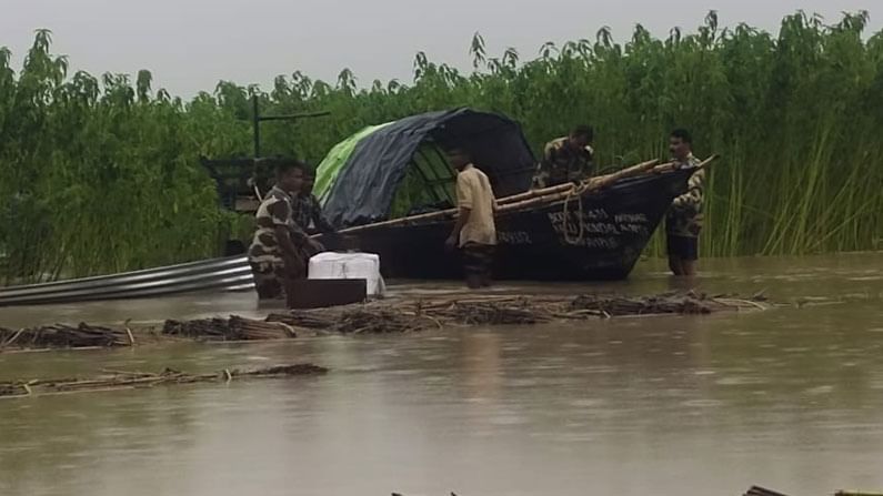 পদ্মা ধরে প্রায় ৪ লক্ষ টাকার ইলিশ পাচারের পরিকল্পনা, ভেস্তে দিল বিএসএফ জওয়ানরা