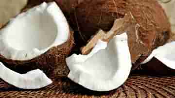 World Coconut Day: নারকেল স্বাস্থ্যে কী ভূমিকা পালন করে জানেন?