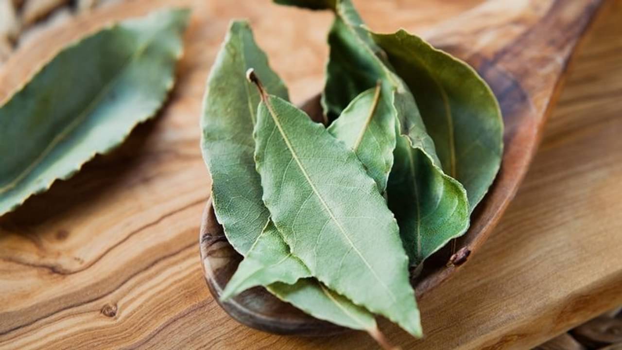 Health Tips: তেজ পাতার চা পান করুন আর শরীরকে সুস্থ রাখুন!