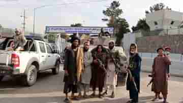 Taliban Regime: ঘুড়ি ওড়ানো থেকে দাড়ি কাটা! বিধি নিষেধের তালিকা ক্রমেই হচ্ছে লম্বা