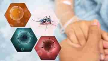 Dengue vs Normal Fever: কীভাবে সাধারণ জ্বর আর ডেঙ্গুর জ্বরের তফাৎ বুঝবেন, জেনে নিন