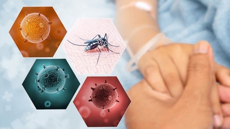 Dengue vs Normal Fever: কীভাবে সাধারণ জ্বর আর ডেঙ্গুর জ্বরের তফাৎ বুঝবেন, জেনে নিন