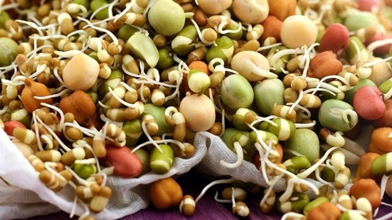 National Nutrition Week 2021: আপনার সুস্বাস্থ্যের জন্য স্প্রাউট খাওয়া গুরুত্বপূর্ণ কেন?