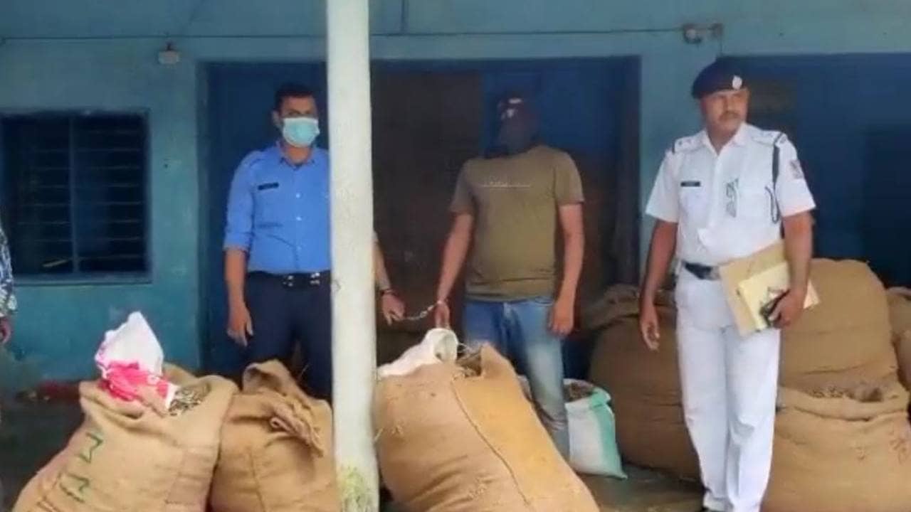 আরও এক প্রেমিকাকে পুঁতে দিয়েছি, এক খুনের তদন্তে বেরিয়ে এল চাঞ্চল্যকর কাহিনি!