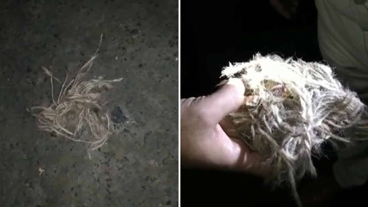 Diamond Harbour:  মুড়িমুড়কির মতো পড়ল বোমা, রাস্তায় সবজি কিনতে বেরিয়ে রক্তাক্ত শিক্ষক, উত্তপ্ত ডায়মন্ড হারবার