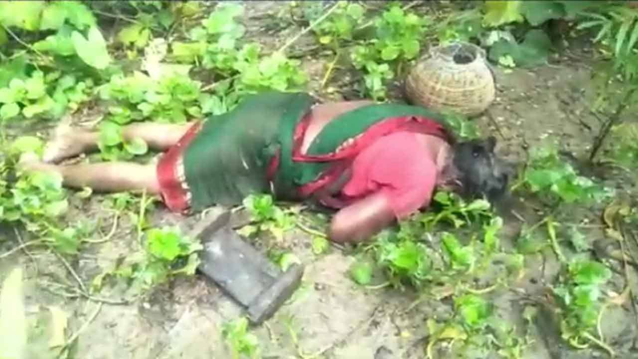মুখ থুবড়ে পড়ে রয়েছে শরীরটা, পাশেই পড়ে মাছ! মহিলার মৃত্যুতে উঠে এল অন্য তত্ত্ব