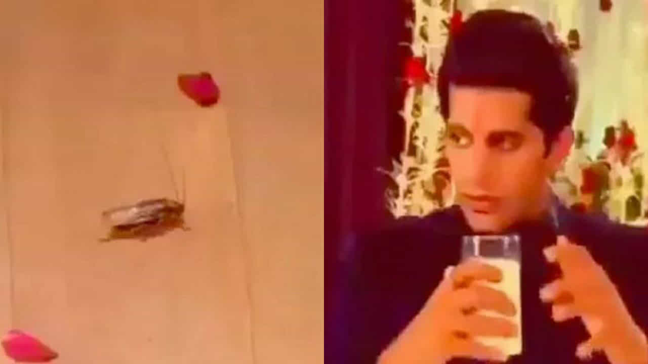 Viral Video: ফুলশয্যায় আরশোলা মেশানো দুধ খেলেন বর! সিরিয়ালের 'আজব দৃশ্য' ভাইরাল Viral Video: ফুলশয্যায় আরশোলা মেশানো দুধ খেলেন বর! সিরিয়ালের 'আজব দৃশ্য' ভাইরাল