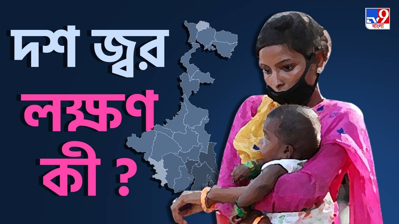 WB Fever: দশ রকমের জ্বর কাঁপুনি ধরাচ্ছে বাংলায়, কী লক্ষণ, কী করবেন জেনে নিন