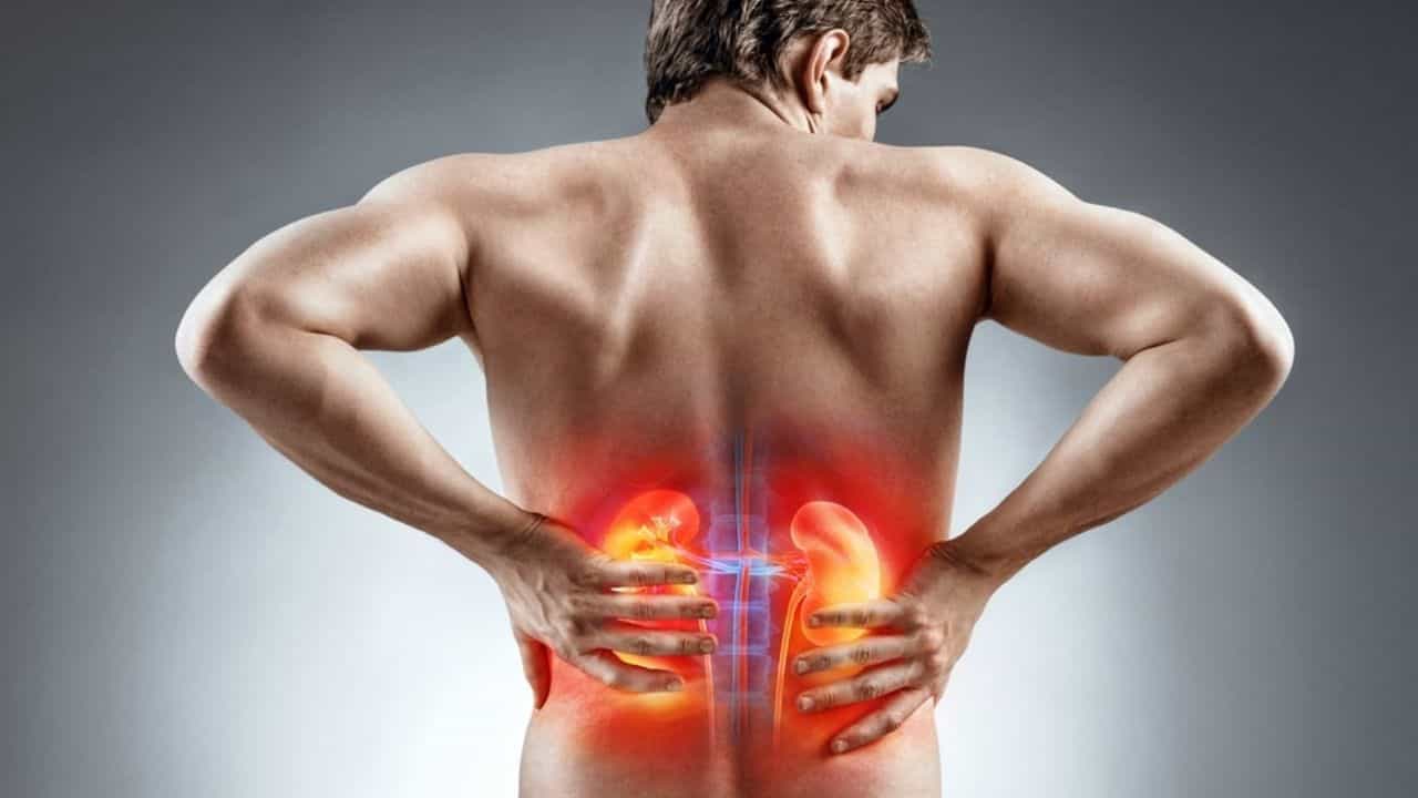 Health Tips: পিঠের যন্ত্রণা হচ্ছে? হতে পারে আপনি কিডনির সংক্রমণে আক্রান্ত হয়েছেন Health Tips: পিঠের যন্ত্রণা হচ্ছে? হতে পারে আপনি কিডনির সংক্রমণে আক্রান্ত হয়েছেন