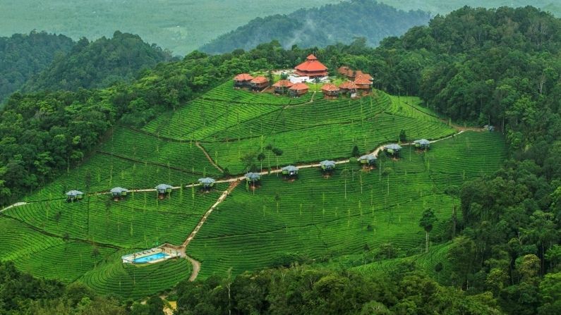 বন্যপ্রাণী প্রেমীদের জন্য আনন্দের বিষয়, মাসিনাগুড়িতে ইন্টারনেট পরিষেবা দুর্দান্ত। এই গন্তব্যে ওয়াইল্ড লাইফ হোমস্টে একটি সুন্দর বিকল্প। এই হোমস্টেগুলির বেশিরভাগই দ্রুত ইন্টারনেট সরবরাহ করে।