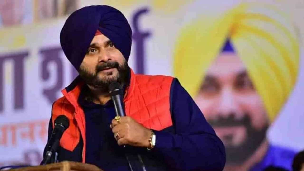 Navjot Singh Sidhu on Choosing Candidate: 'যোগ্যতা যাচাই করেই দেওয়া হবে টিকিট', ক্যাপ্টেন ঘনিষ্ঠদের ডানা ছাটতে উদ্যোগী সিধু Navjot Singh Sidhu on Choosing Candidate: 'যোগ্যতা যাচাই করেই দেওয়া হবে টিকিট', ক্যাপ্টেন ঘনিষ্ঠদের ডানা ছাটতে উদ্যোগী সিধু