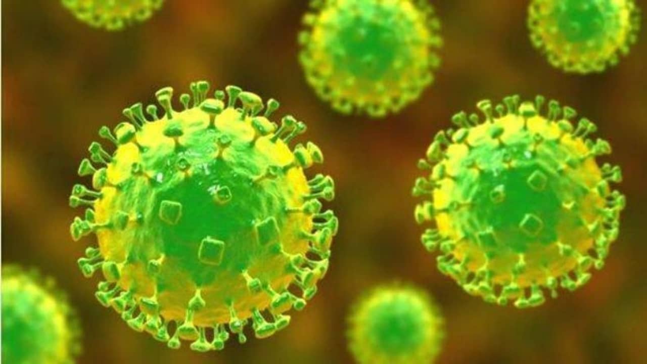 Nipah Virus: আতঙ্ক বাড়াচ্ছে নিপা, জারি হাই অ্যালার্ট