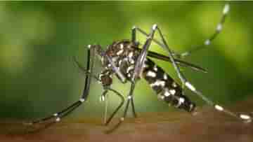 Dengue situation in UP: ডেঙ্গি পরিস্থিতি সামলাতে তৎপর যোগী