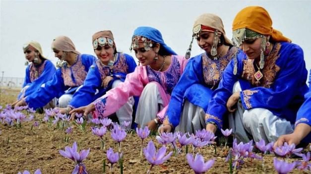 Kashmir: ভূস্বর্গ ভয়ঙ্কর নয় জাফরান হারভেস্ট ফেস্টিভ্যালে জেগে উঠছে পুলওয়ামা