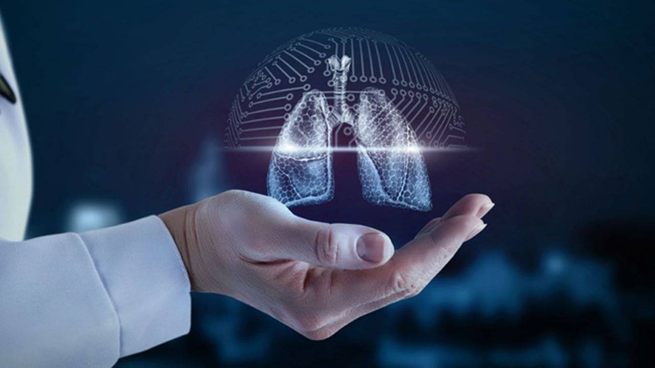 Lung Disease: ফুসফুসের সুস্থতা বজায় রাখার জন্য এই বিষয়গুলোর ওপর নজর দিন...