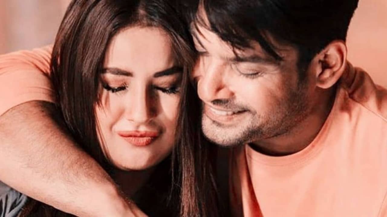 রিয়ার মতো শেহনাজকে বলির পাঁঠা বানাবেন না: আর্জি ভক্তদের