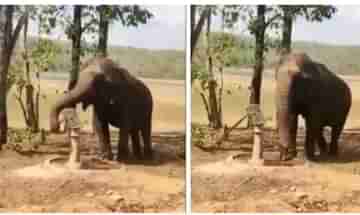 Viral Video: জল সংরক্ষণ নিয়ে এই হাতি যদি কিছু করতে পারে, মানুষ কেন পারবে না? প্রশ্ন তুললেন খোদ নেটিজ়েনরা