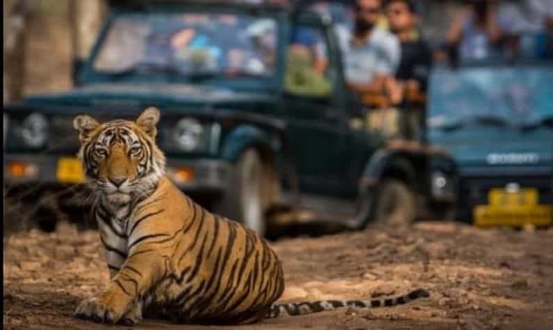 Uttarakhand: এবার সারা বছরের জন্য খুলে দেওয়া হল বিখ্যাত রাজাজী টাইগার রিজার্ভ! Uttarakhand: এবার সারা বছরের জন্য খুলে দেওয়া হল বিখ্যাত রাজাজী টাইগার রিজার্ভ!