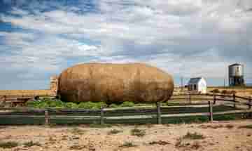 Potato Hotel: আলু খেতে ভালবাসেন, তাহলে বিশ্বের পটেটো হোটেলে থাকার সুযোগ হাতছাড়া করবেন না যেন!