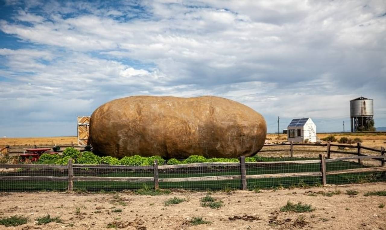 Potato Hotel: আলু খেতে ভালবাসেন, তাহলে বিশ্বের পটেটো হোটেলে থাকার সুযোগ হাতছাড়া করবেন না যেন!