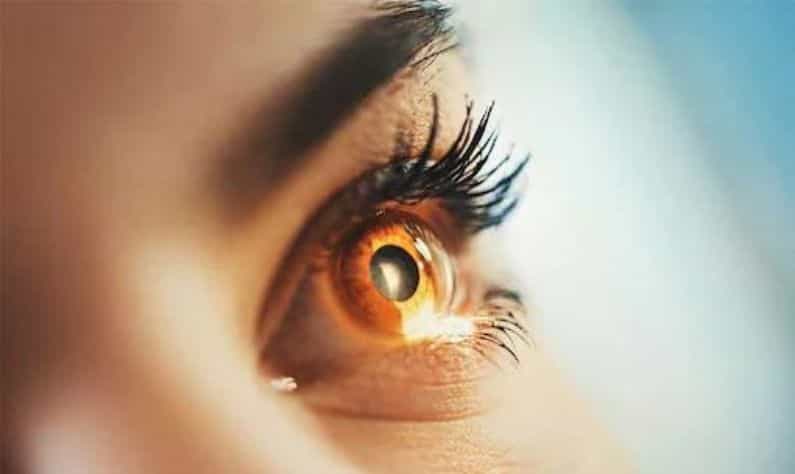 Thyroid eye disease: থাইরয়েড রোগে আক্রান্ত হলে চোখের সমস্য়া এড়িয়ে যাবেন না! Thyroid eye disease: থাইরয়েড রোগে আক্রান্ত হলে চোখের সমস্য়া এড়িয়ে যাবেন না!