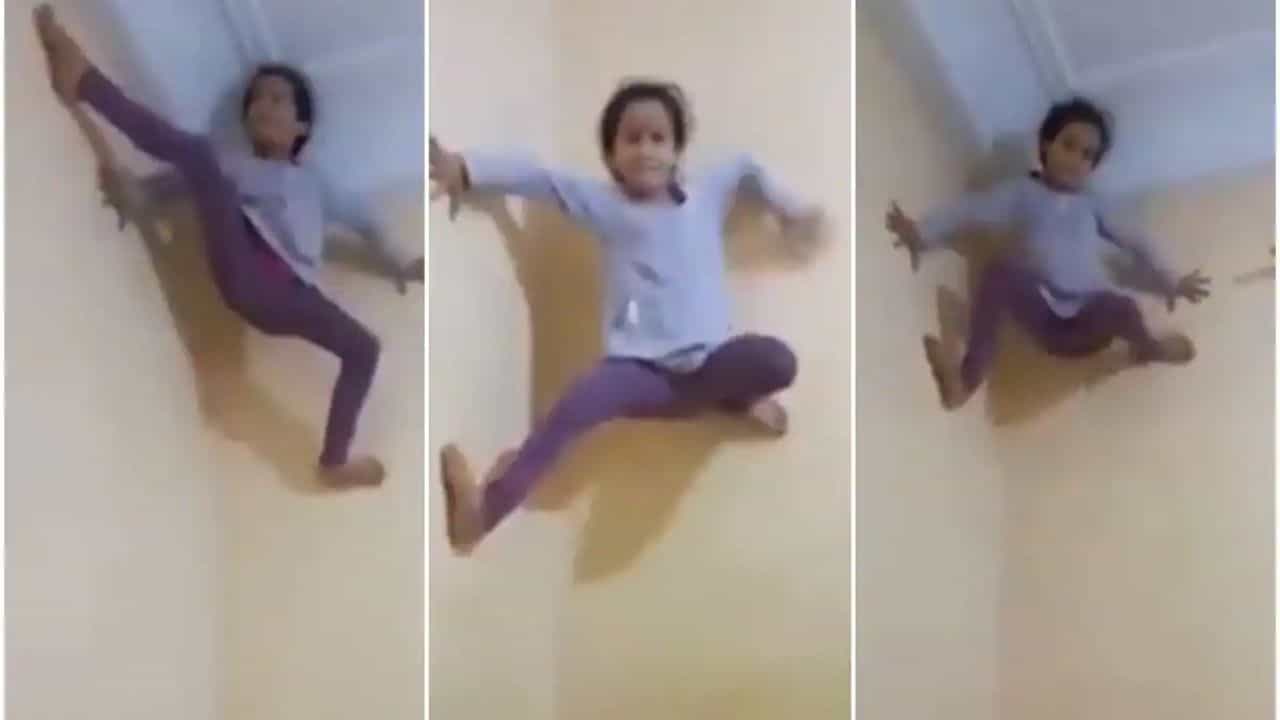 Viral Video: দেওয়ালে মাকড়সার মতো দাঁড়িয়ে থাকল ৫ বছরের 'স্পাইডারগার্ল'!