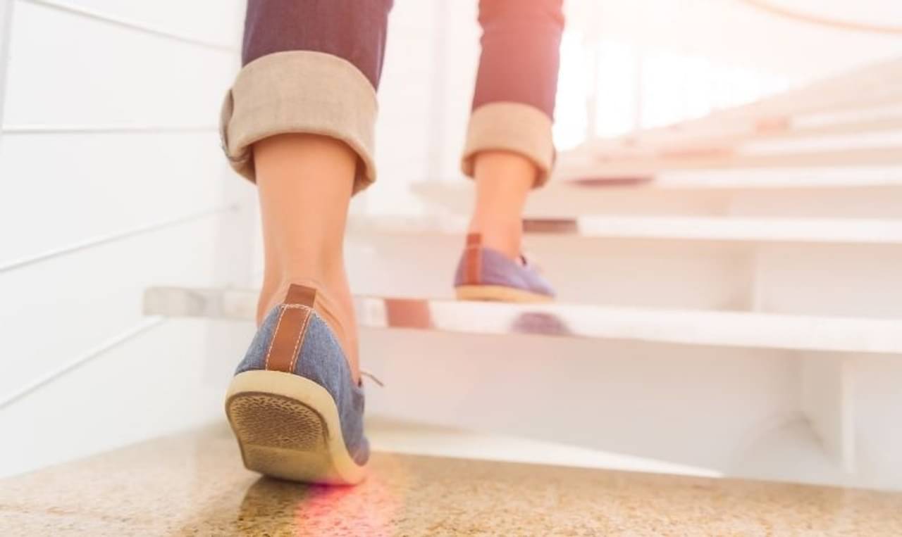 Heart disease: ১ মিনিটে ৬টি সিঁড়ি ওঠানামা করতে পারলেই বুঝবেন আপনার হার্ট সুস্থ! বলছে গবেষণা