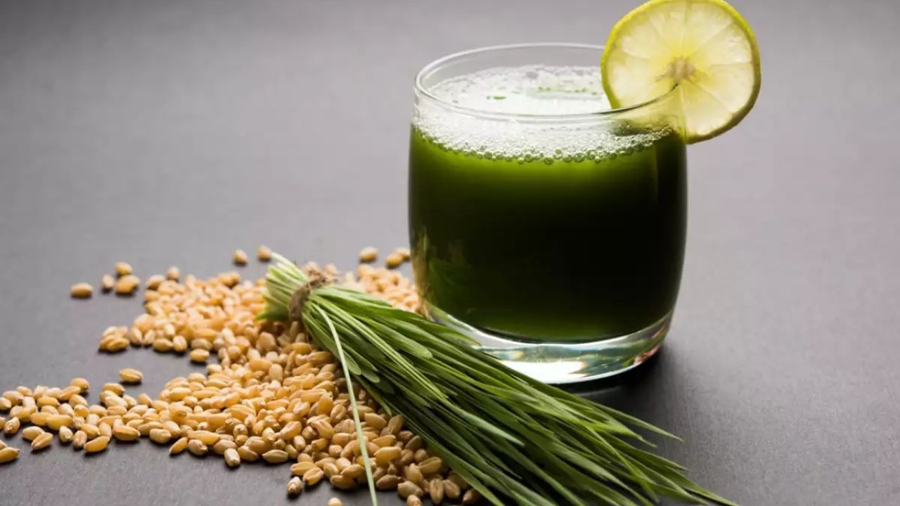 Wheatgrass Benefits: গম ঘাস খাওয়া ঠিক কতটা স্বাস্থ্যকর? বিশেষ বিশেষ ক্ষেত্রে এটা ক্ষতিকরও হতে পারে...