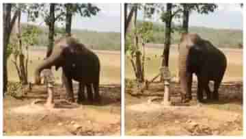 Viral Video: টিউবওয়েল থেকে জল বার করে খেল এক বুদ্ধিমান হাতি!