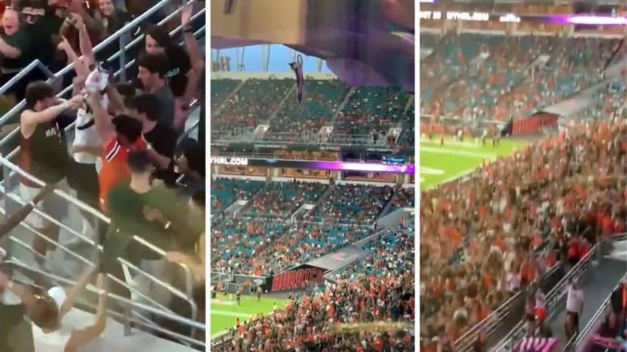 Viral Video: স্টেডিয়ামের ওপর থেকে পড়তে থাকা বিড়ালের প্রাণ বাঁচালো আমেরিকার পতাকা!