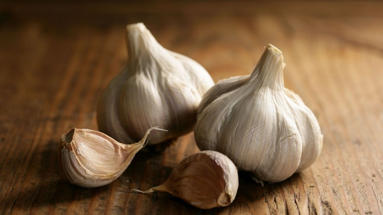 Benefits of Garlic: রসুন খাওয়ার স্বাস্থ্যকর উপকারিতা অনেক, ওজন কমানোর ক্ষেত্রেও বিশেষ কার্যকর এই রসুন...