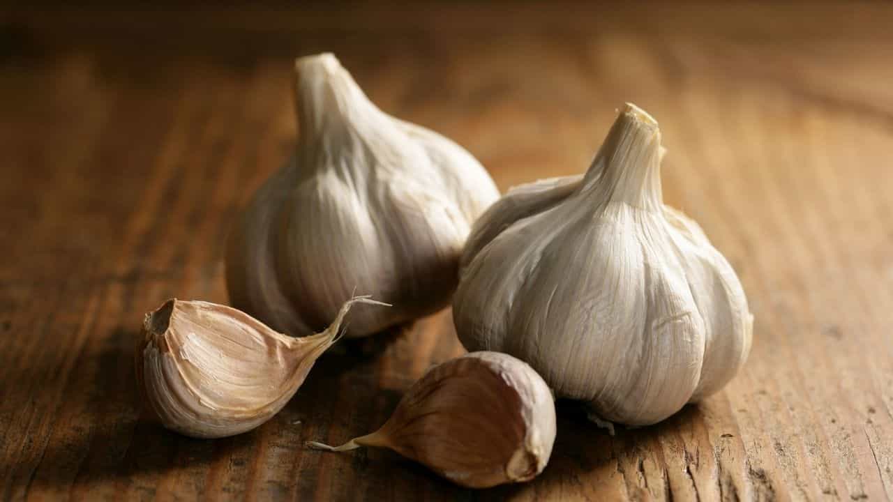 Benefits of Garlic: রসুন খাওয়ার স্বাস্থ্যকর উপকারিতা অনেক, ওজন কমানোর ক্ষেত্রেও বিশেষ কার্যকর এই রসুন... Benefits of Garlic: রসুন খাওয়ার স্বাস্থ্যকর উপকারিতা অনেক, ওজন কমানোর ক্ষেত্রেও বিশেষ কার্যকর এই রসুন...